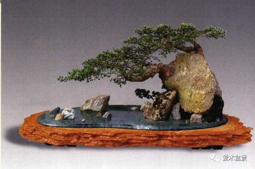 水泥構(gòu)件在樹石盆景中的創(chuàng)新藝術(shù)表現(xiàn)